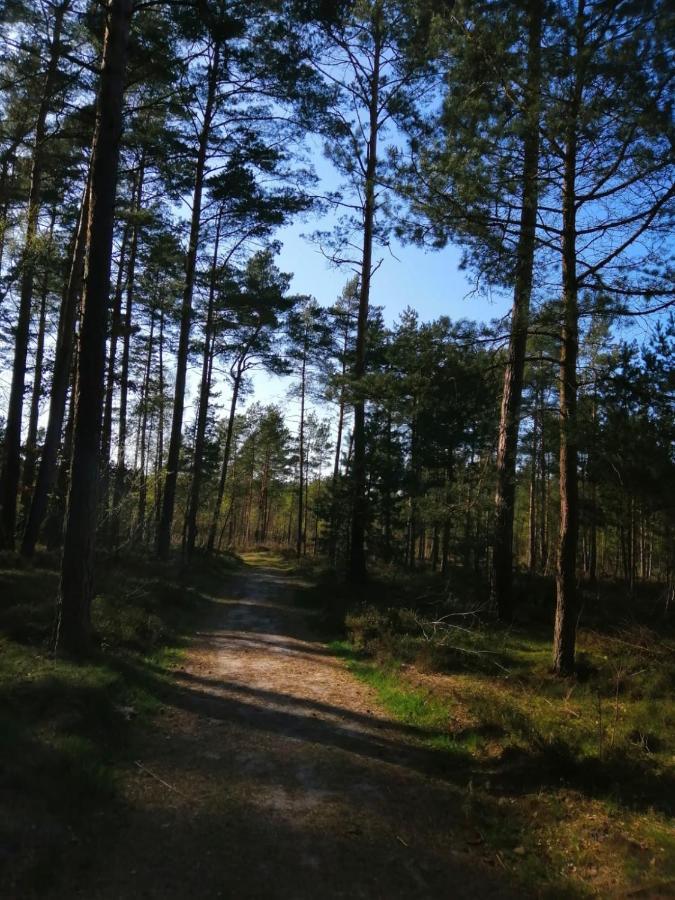 Domek Na Lesnej Pogorzelica  Buitenkant foto