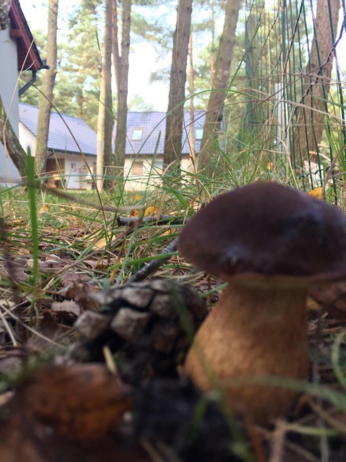 Domek Na Lesnej Pogorzelica  Buitenkant foto